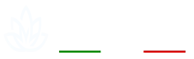 Massarroni